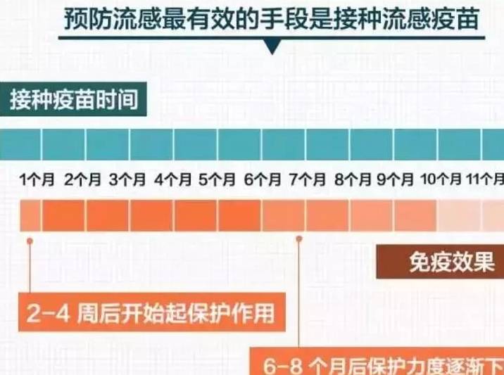 健康守护者：流感疫苗最新优惠价来袭！