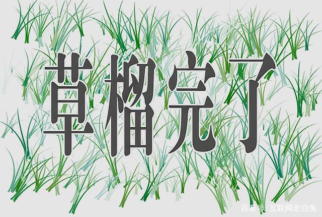 1024小草版全新发布