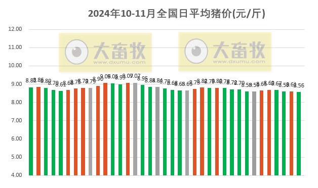 最新猪市行情动态