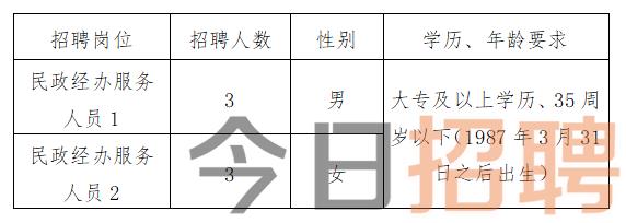 鞍山市最新职位招聘资讯速览