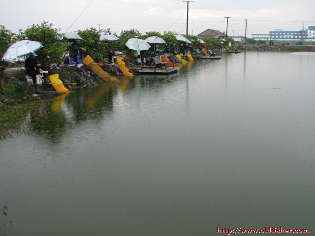 慈溪垂钓新发现：揭秘最新热门钓鱼胜地